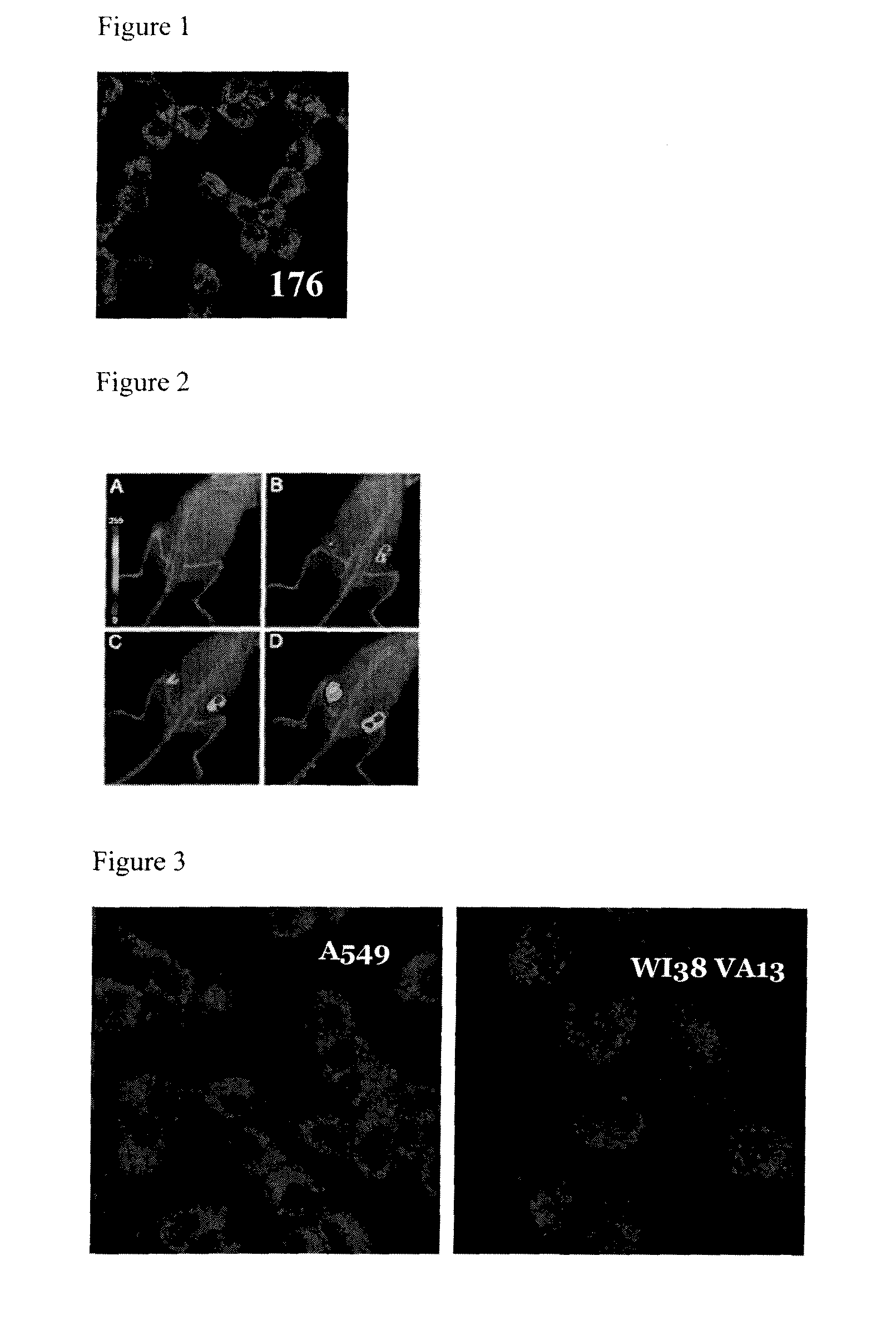 Porphyrazine Optical and Dual Optical/MR Contrast and Therapeutic Agents