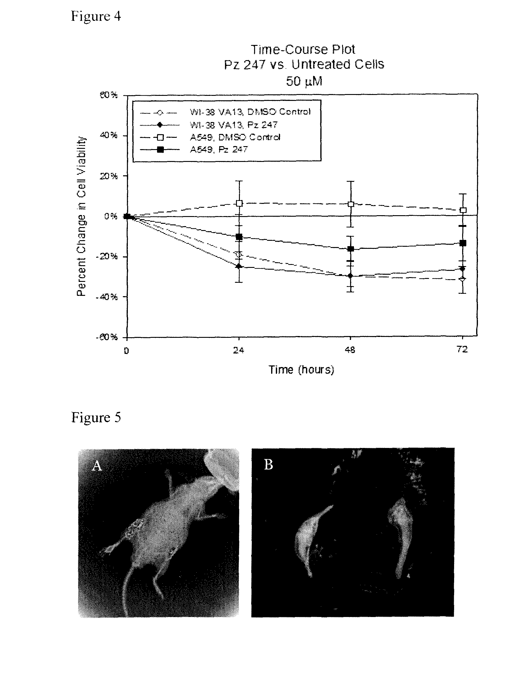 Porphyrazine Optical and Dual Optical/MR Contrast and Therapeutic Agents