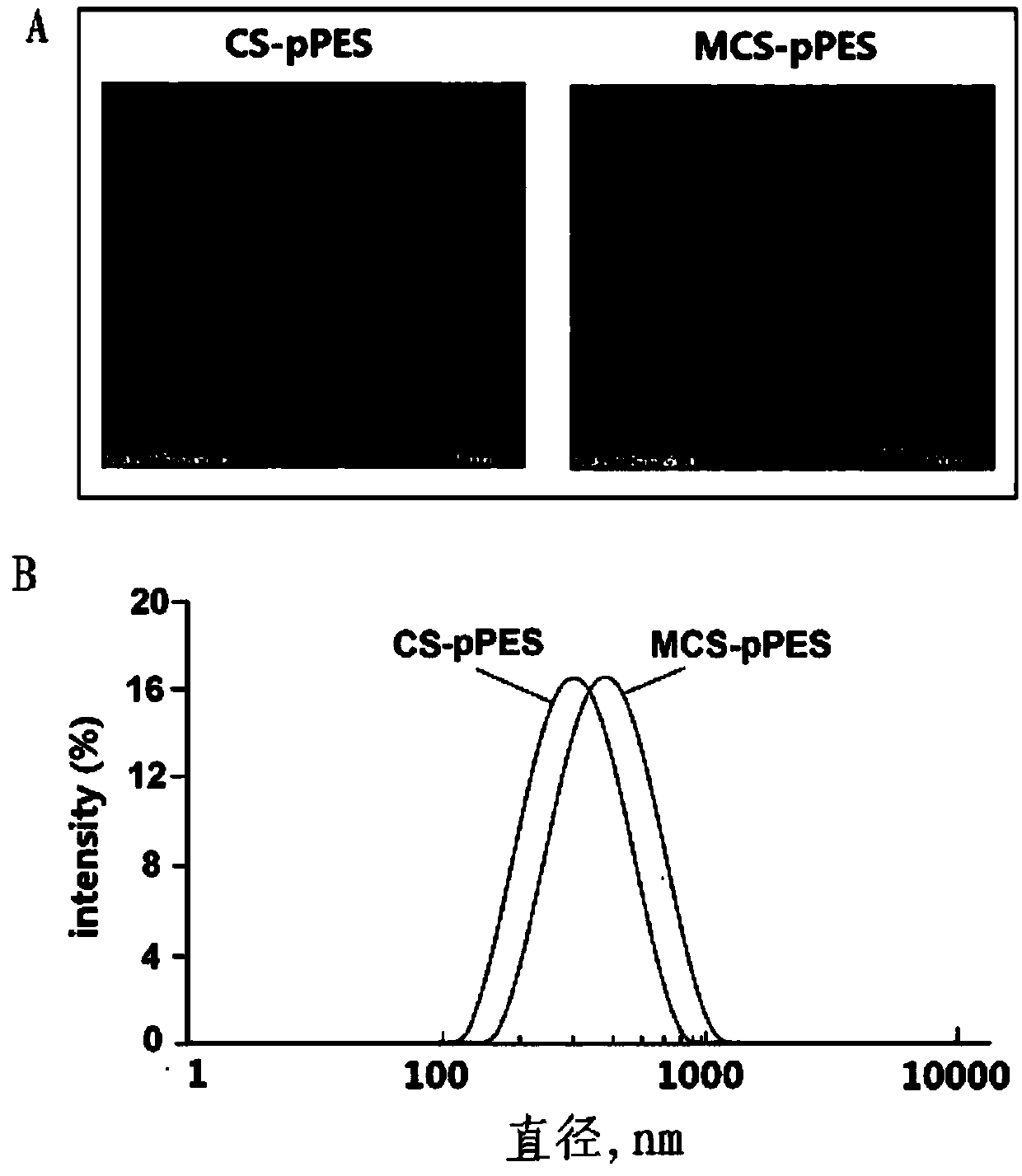 Mannosylated chitosan delivery system assembled tuberculosis mucosa gene vaccine