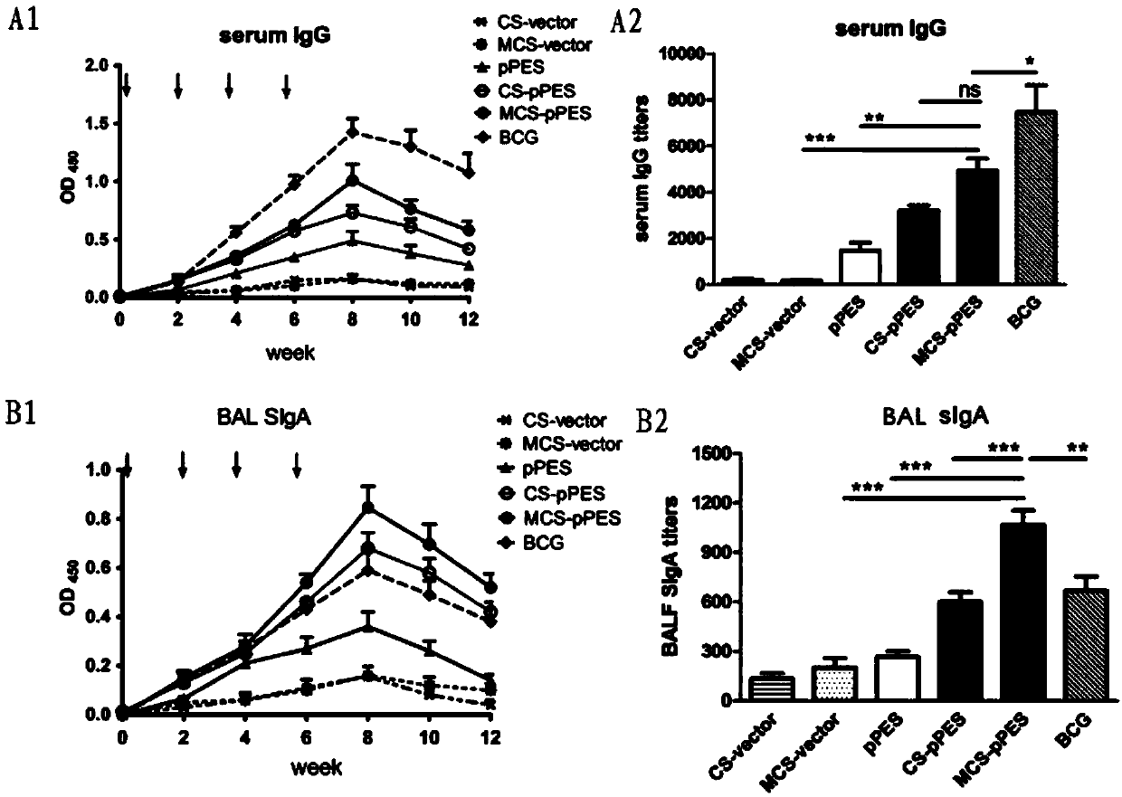 Mannosylated chitosan delivery system assembled tuberculosis mucosa gene vaccine