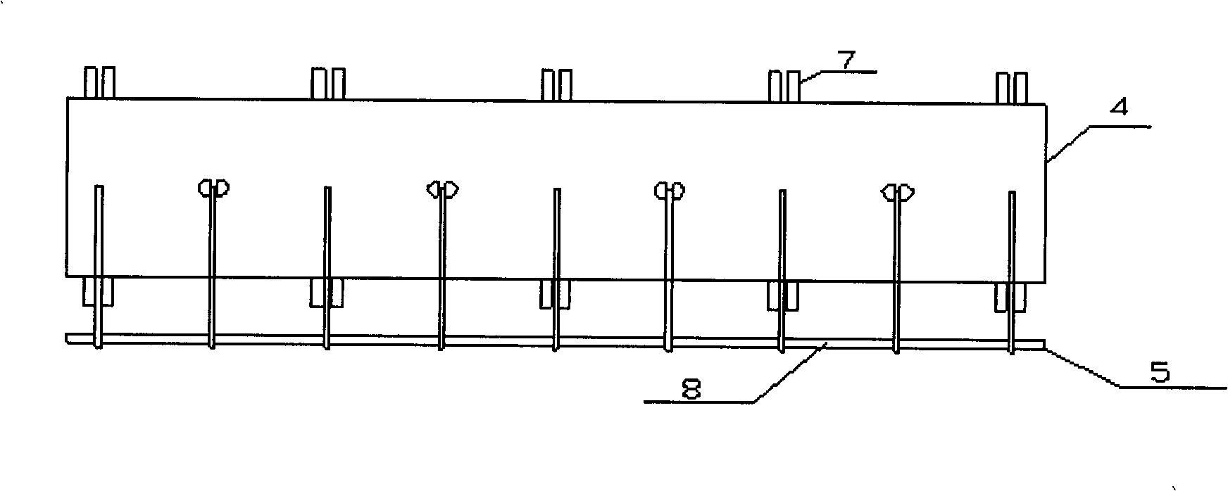 Feeding apparatus of biomass silo