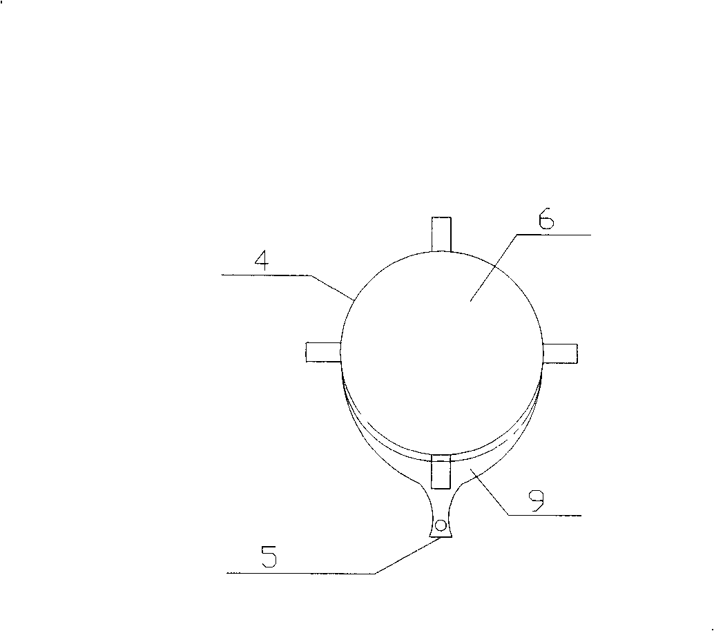 Feeding apparatus of biomass silo