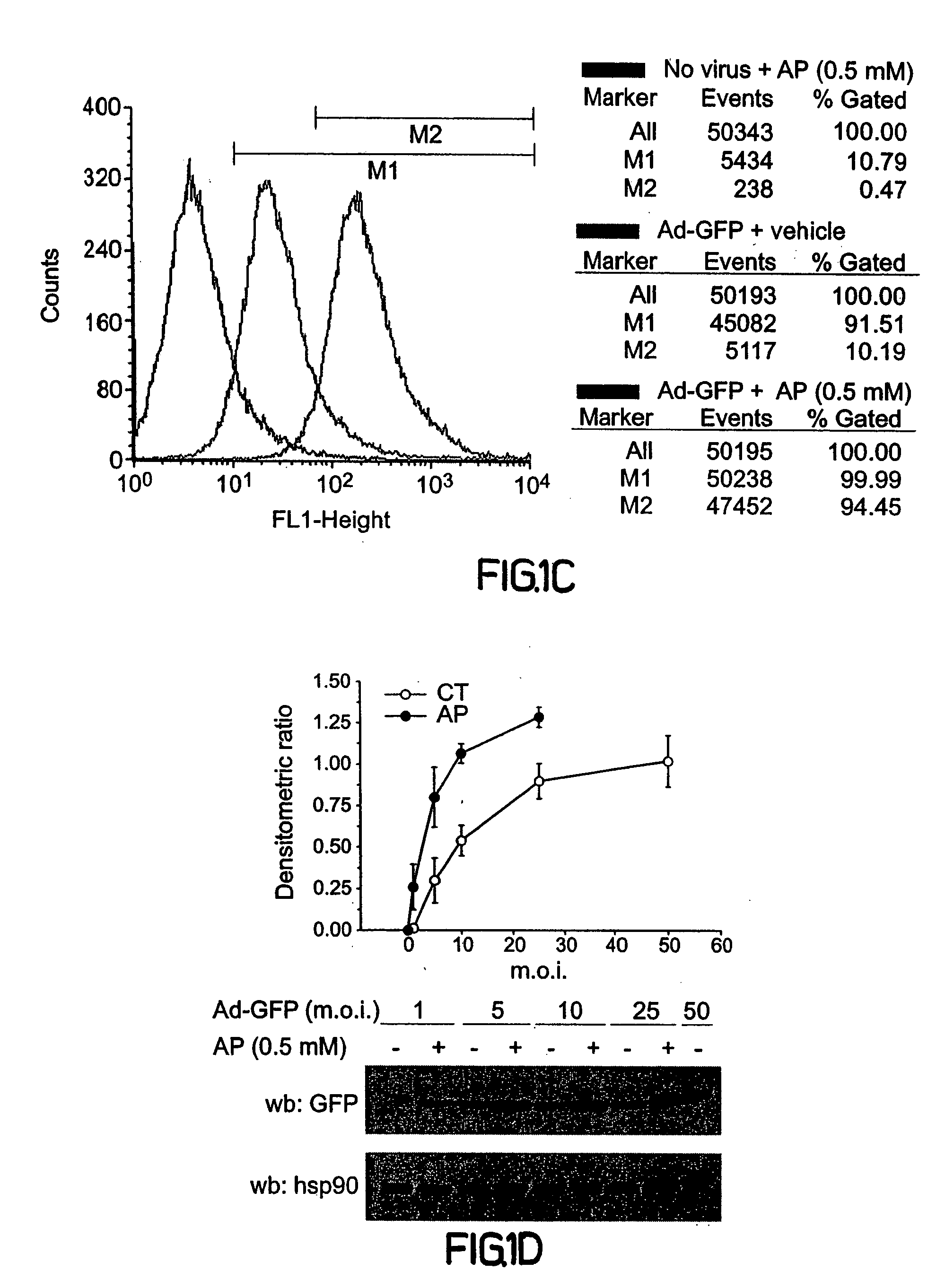 Viral uptake into cells and tissues