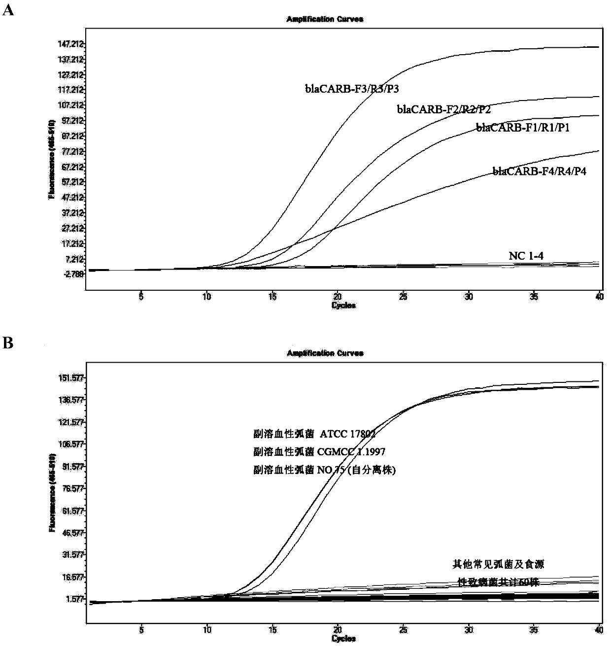 Kit and detection method for absolute quantitative detection of vibrio parahaemolyticus