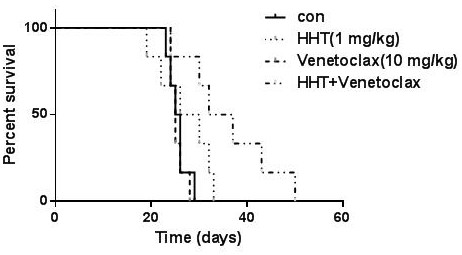 Pharmaceutical composition containing homoharringtonine and application of pharmaceutical composition