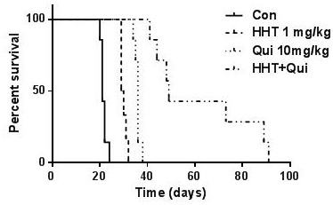 Pharmaceutical composition containing homoharringtonine and application of pharmaceutical composition