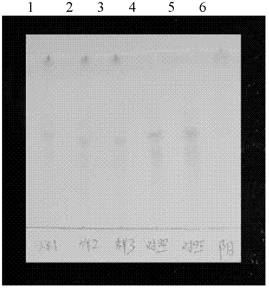 Detection method of Jiuwei Zhuhuang preparation