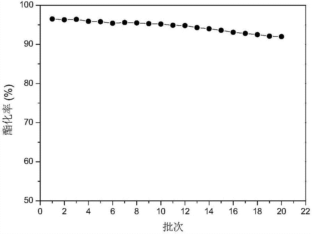 Method for immobilizing Thermomyces lanuginosus lipase