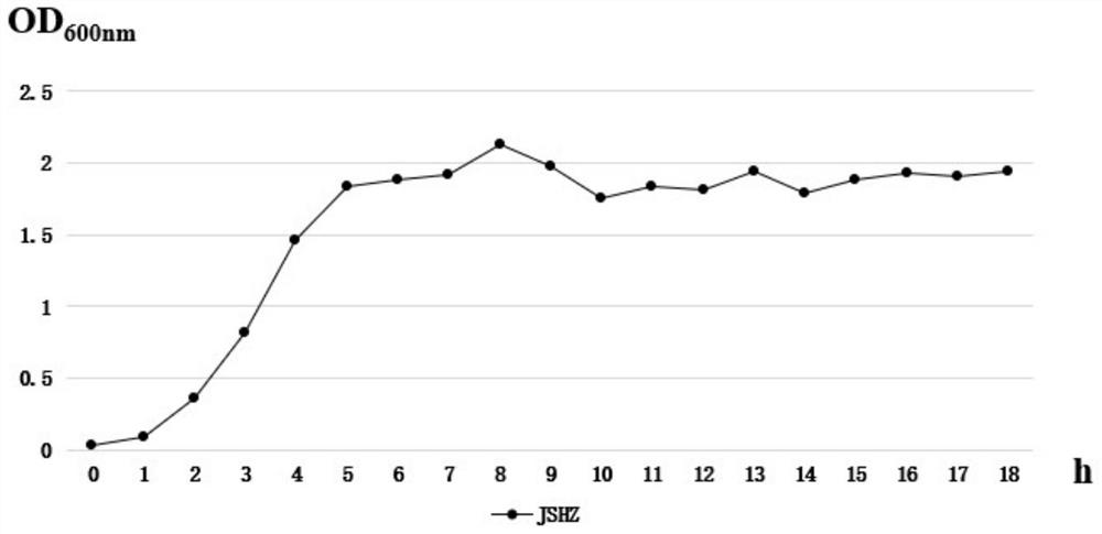 Streptococcus suis type 3 vaccine strain and application thereof