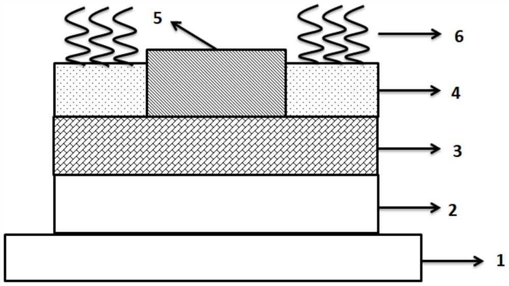 DNA sensor based on thin film transistor and preparation method thereof