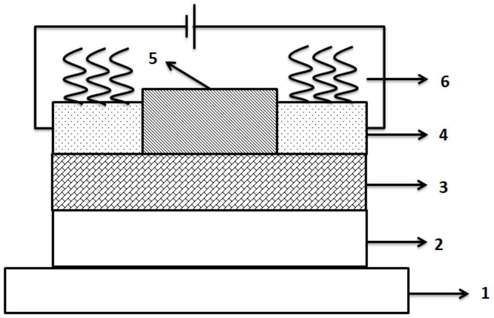 DNA sensor based on thin film transistor and preparation method thereof