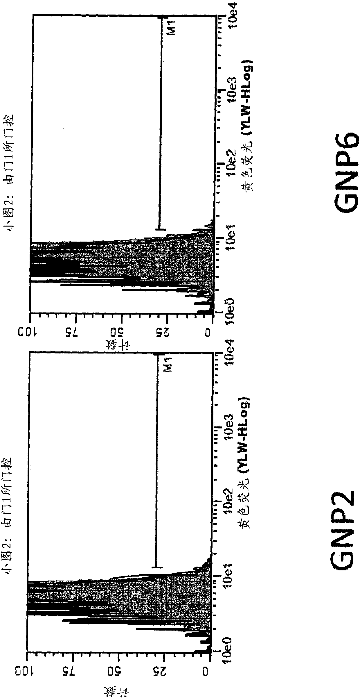 Nanoparticle tumour vaccines