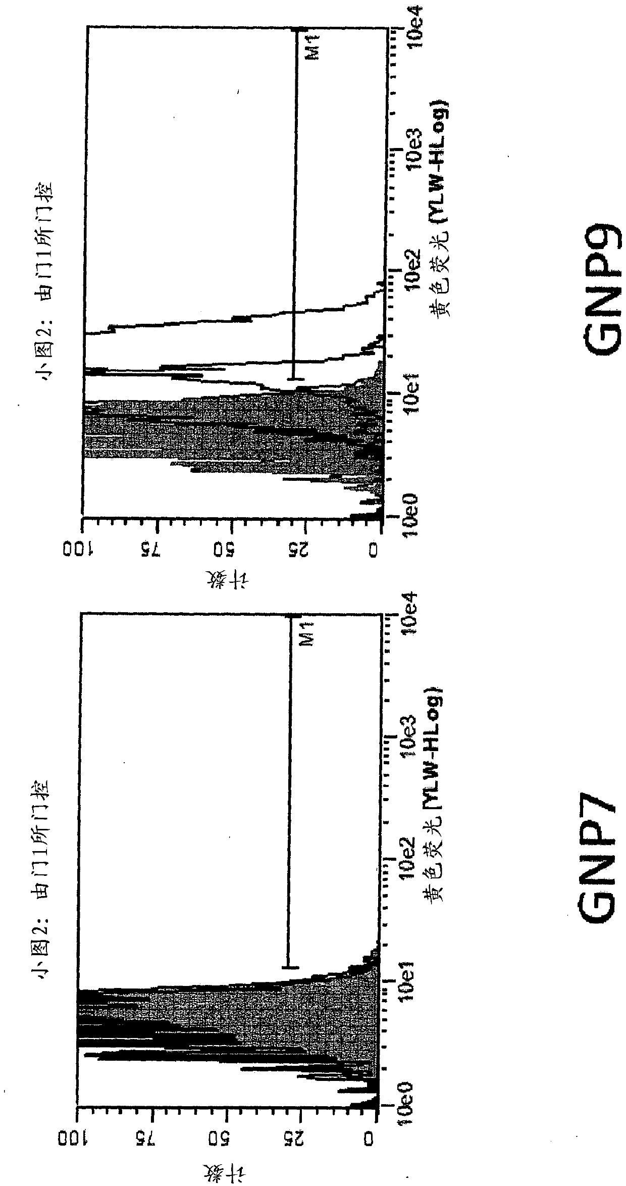 Nanoparticle tumour vaccines