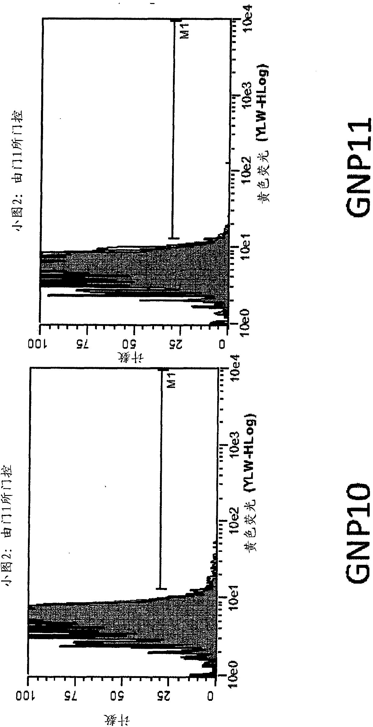 Nanoparticle tumour vaccines