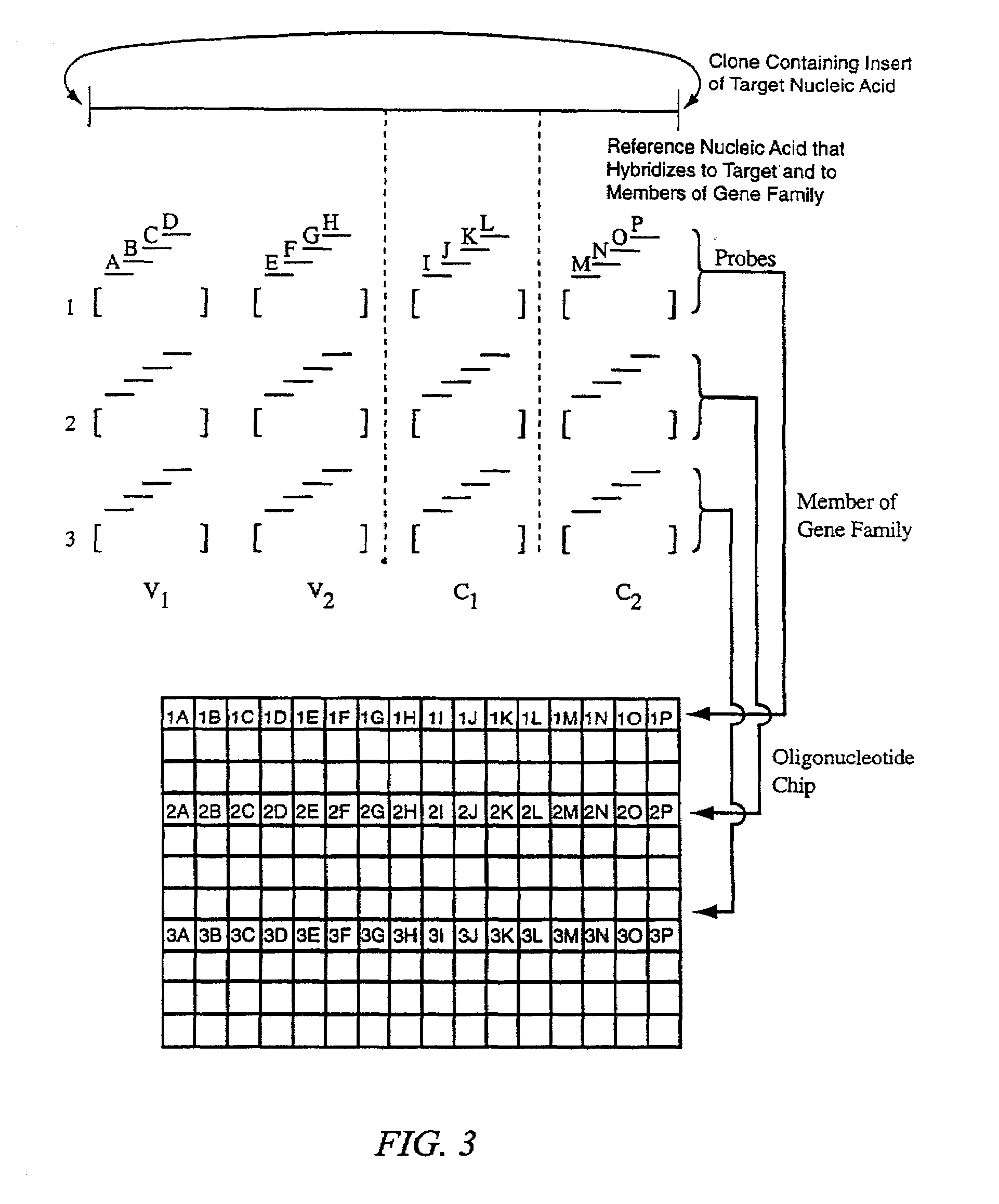 Identification of molecular sequence signatures and methods involving the same