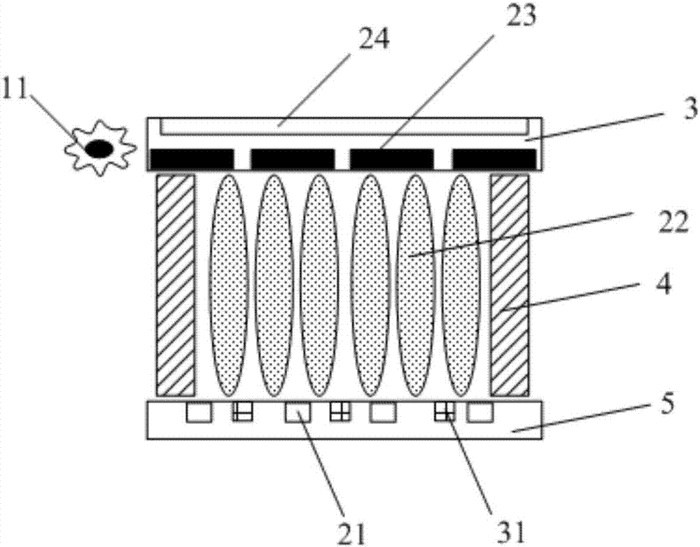 Optical fingerprint recognition module, display panel and display device