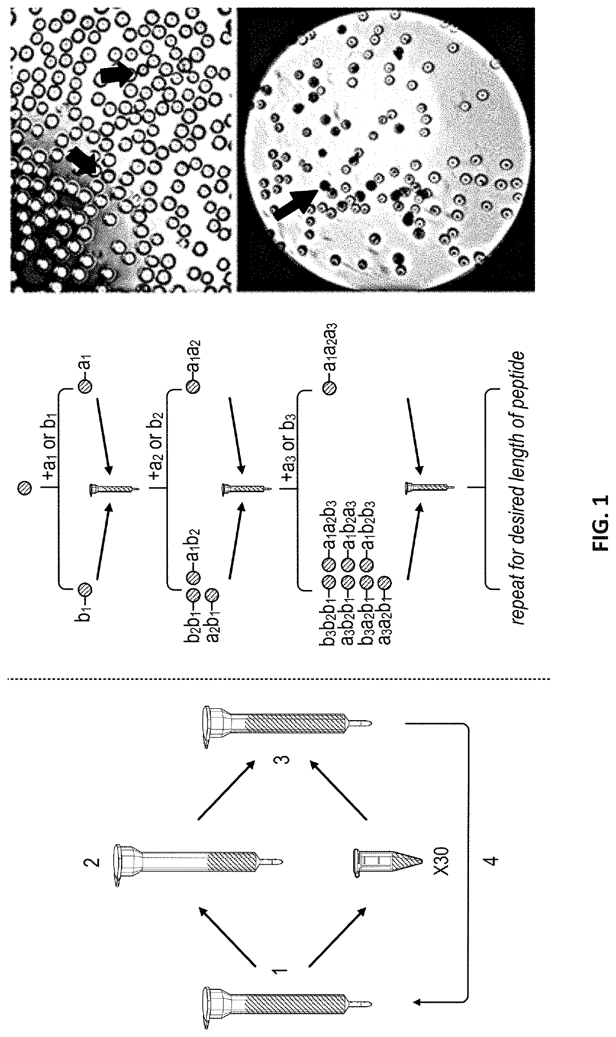 Glycocalyx mimetic coatings