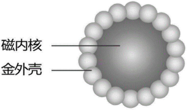 Electrical chemiluminescence immunoassay based on gold magnetic particles