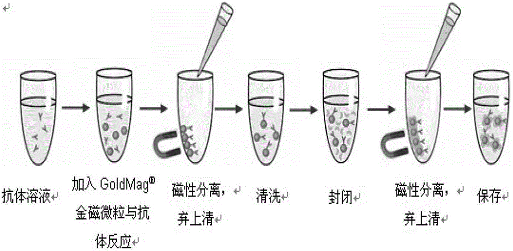 Electrical chemiluminescence immunoassay based on gold magnetic particles