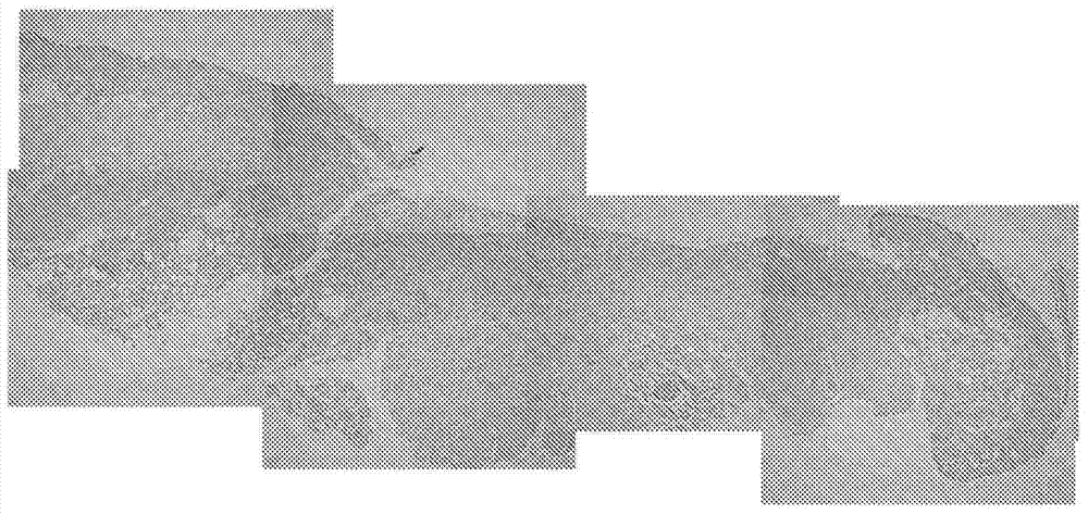 Material for tissue regeneration, aqueous protein solution containing same, and method for gelling same