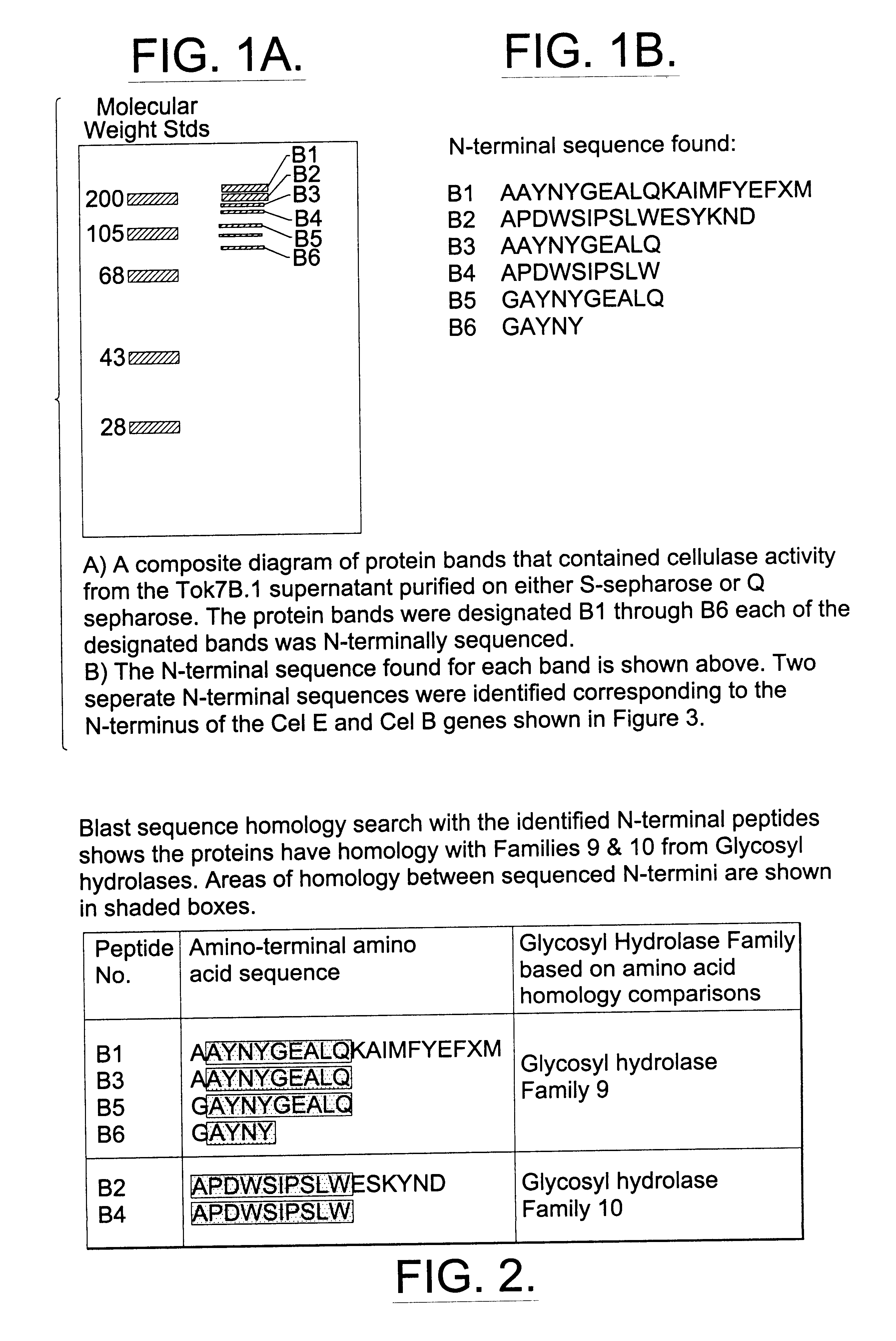 Compositions and methods for treating cellulose containing fabrics using truncated cellulase enzyme compositions