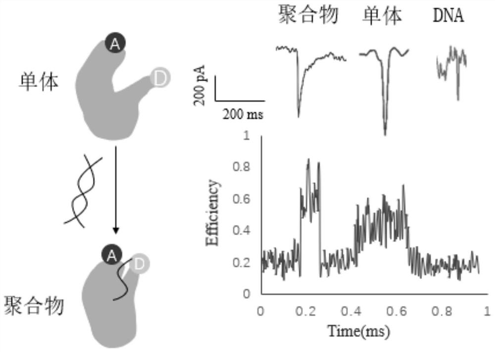 Solid nanopore-fluorescence resonance energy transfer composite detection method and system