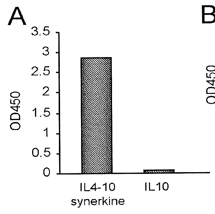 Fusion protein comprising an interleukin 4 and interleukin 10