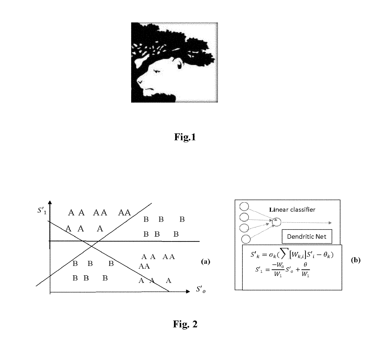 Unsupervised Deep Learning Biological Neural Networks