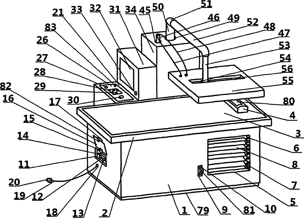 Neuropathic pain therapeutic instrument