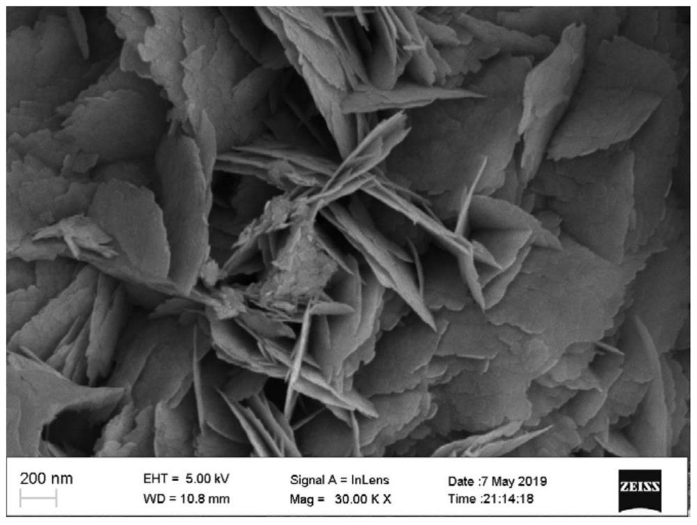 Graphite type carbon nitride composite photocatalytic material containing oxygen vacancy bismuth tungstate/oxygen-enriched structure as well as preparation method and application of graphite type carbon nitride composite photocatalytic material