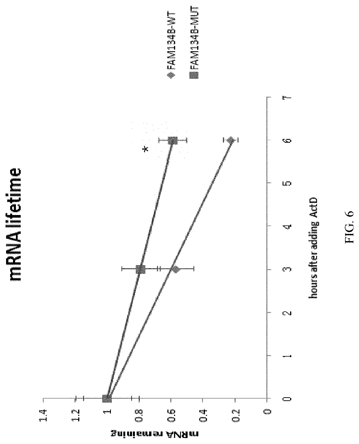 Identification, function and application of m6a methylation site in pig fat deposition-related fam134b mRNA