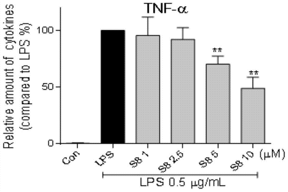 A kind of curcumin analog containing n-cyclopropane substitution and its pharmaceutical application