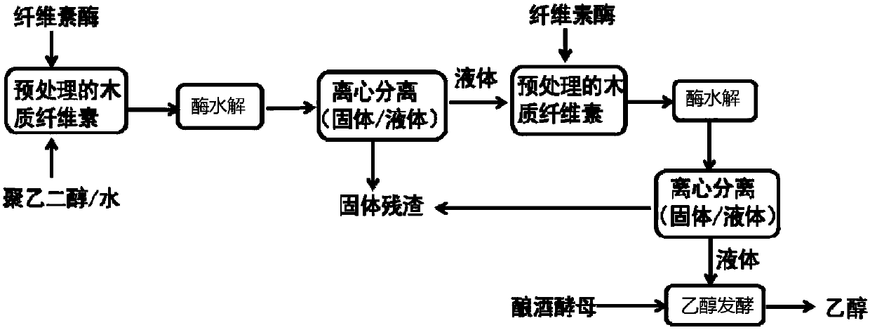 Step-by-step lignocellulose saccharifying fermentation method with polyvinyl glycol-water as medium