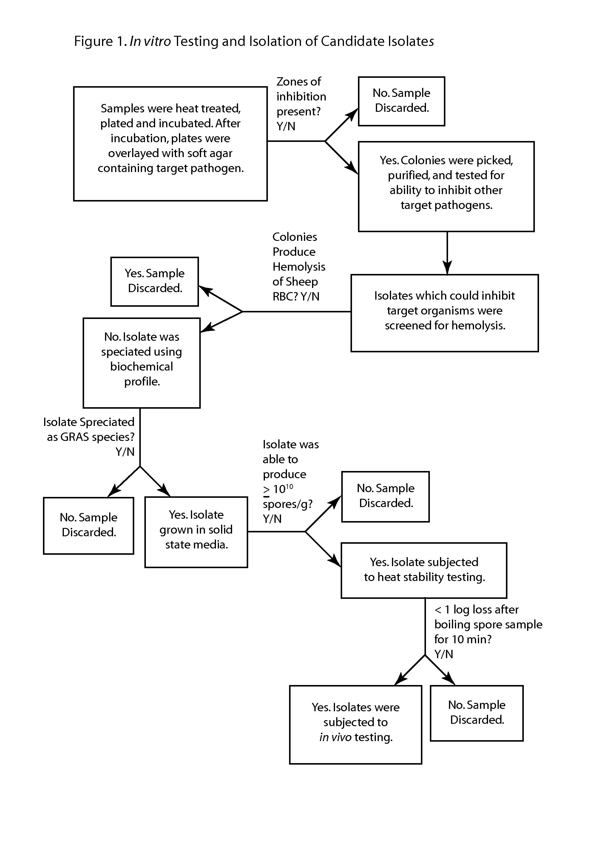 Methods and compositions including spore-forming bacteria for increasing the health of animals