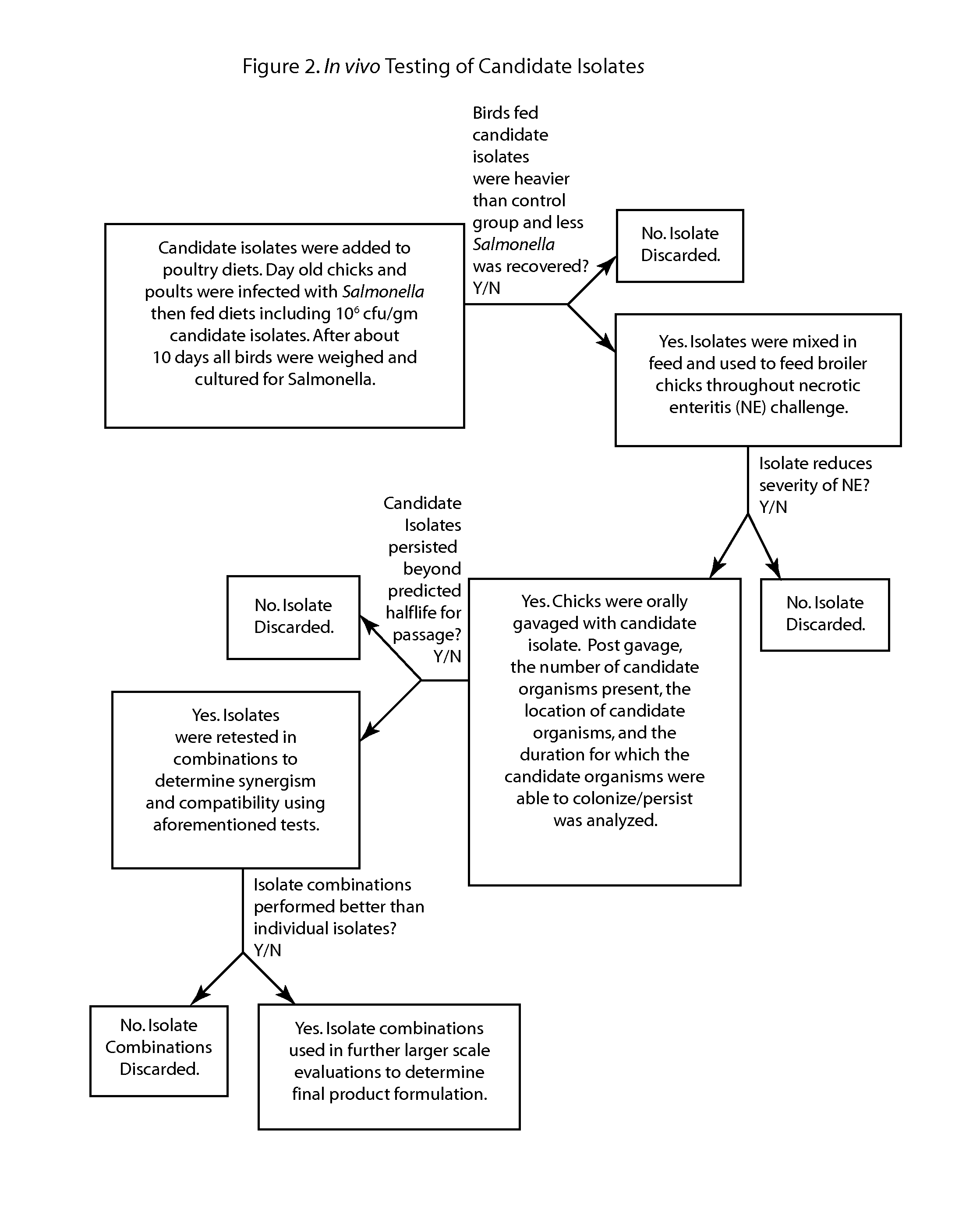 Methods and compositions including spore-forming bacteria for increasing the health of animals