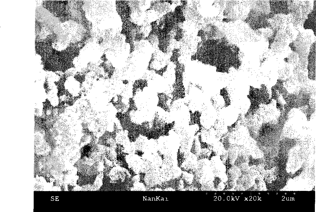 Immobilized penicillin acylated enzyme with silicon gel rubber as carrier and preparation method