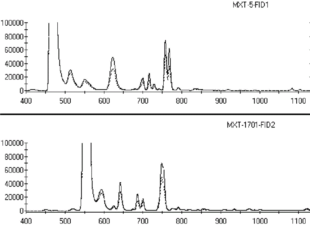 On-line continuous environmental air quality automatic monitoring system and peculiar smell source tracing method