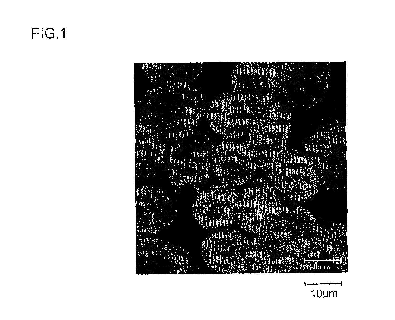 Method for promoting expression of calreticulin, and synthetic peptide for use in method for promoting expression of calreticulin