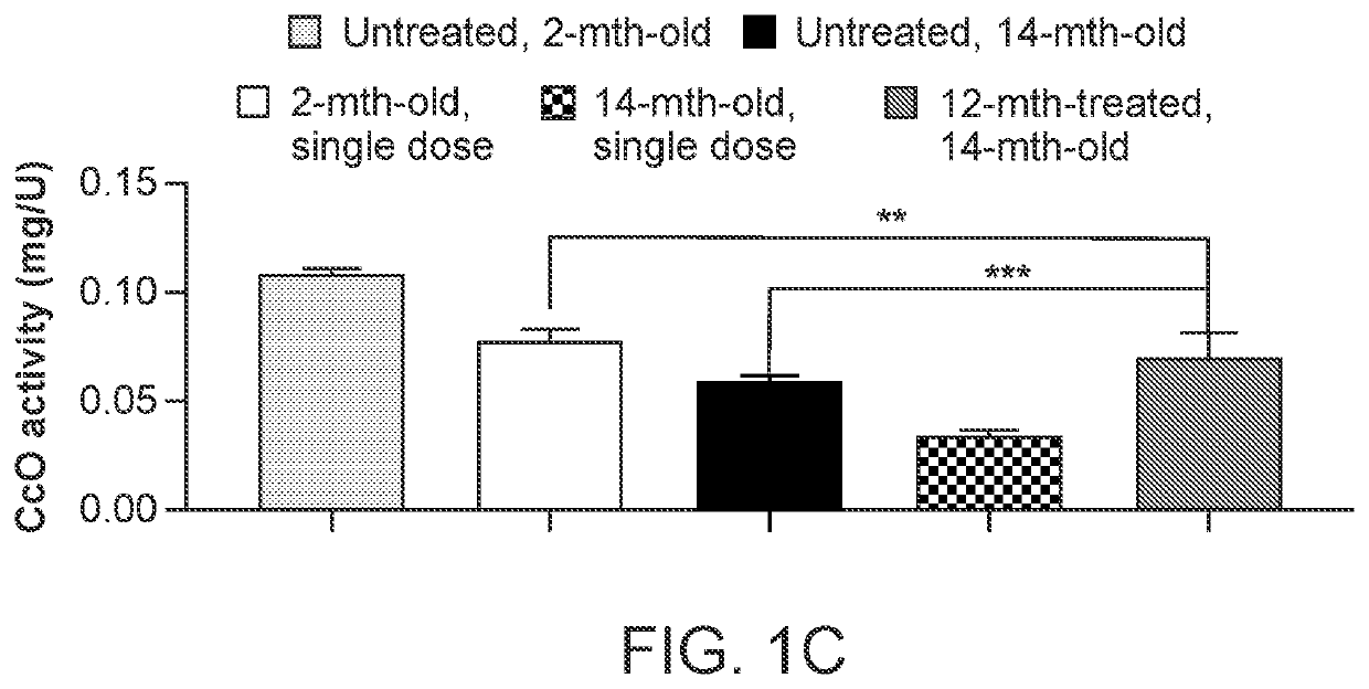 Mitochondrial modulation to improve metabolic syndrome during aging