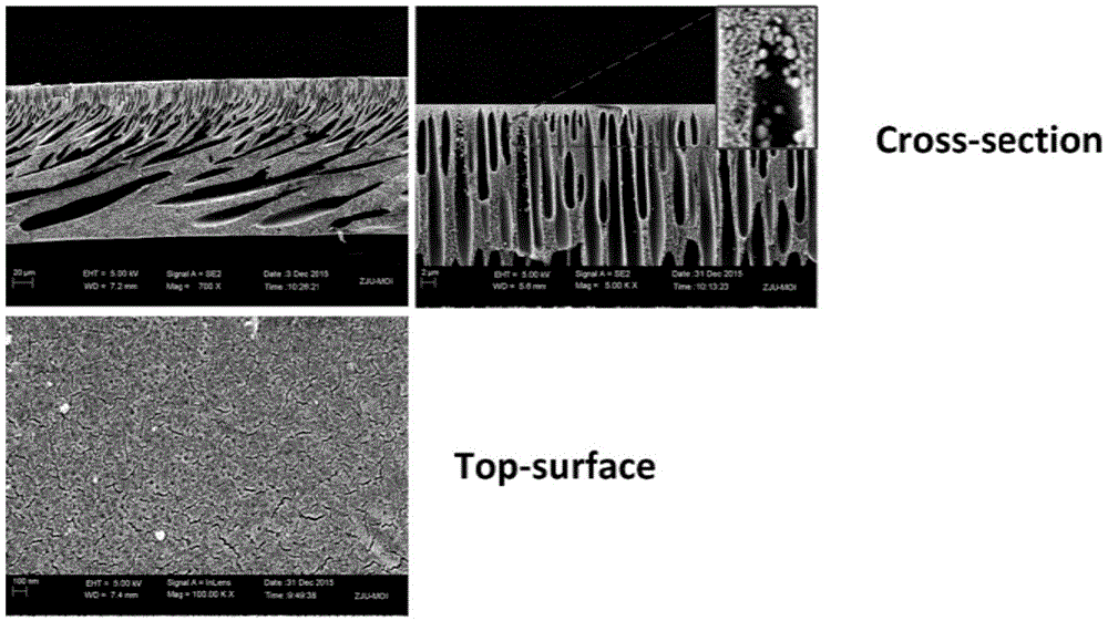 Multifunctional amphiphilic comb-type polymer modifier, and preparation method and application thereof