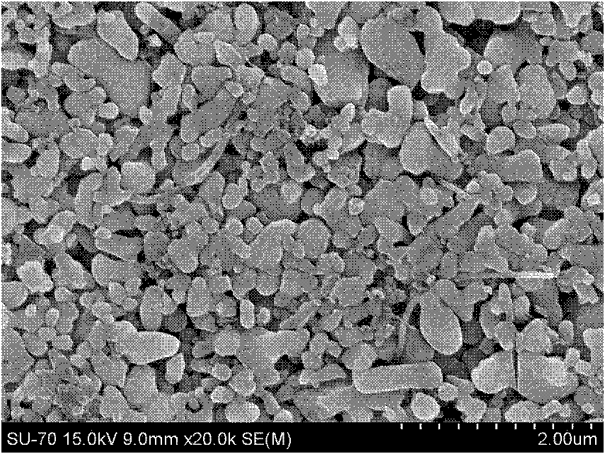 Paste for nonaqueous lithium ion battery positive electrode