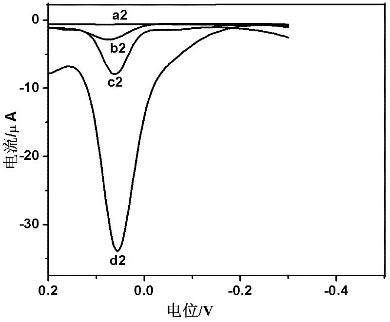 Funtionalized carbon nanotube modified electrode and its preparation method and uses