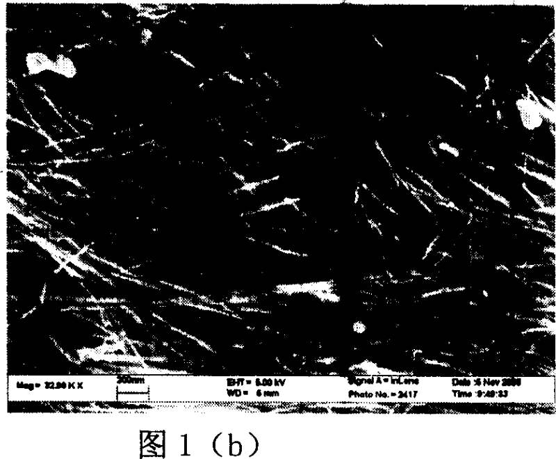 Titanium dioxide nano thread, belt and tube block array and preparation method thereof