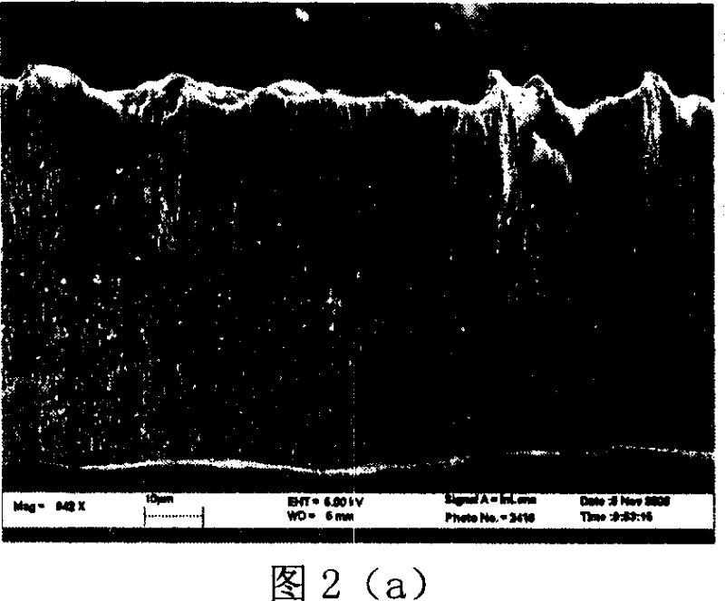 Titanium dioxide nano thread, belt and tube block array and preparation method thereof