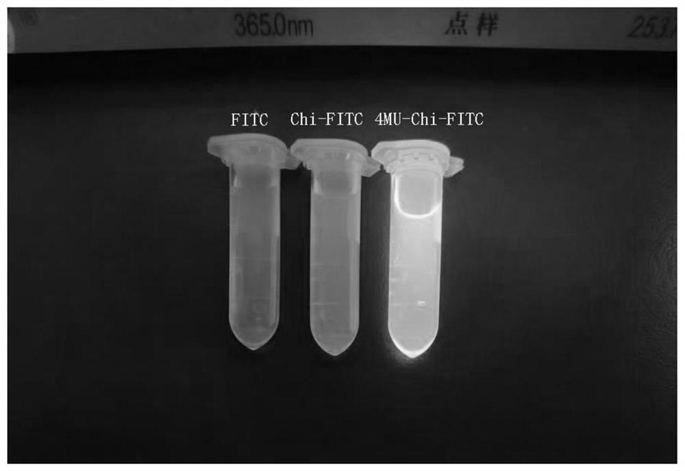 A kind of ferric ion photoelectric sensor and preparation method thereof based on ito