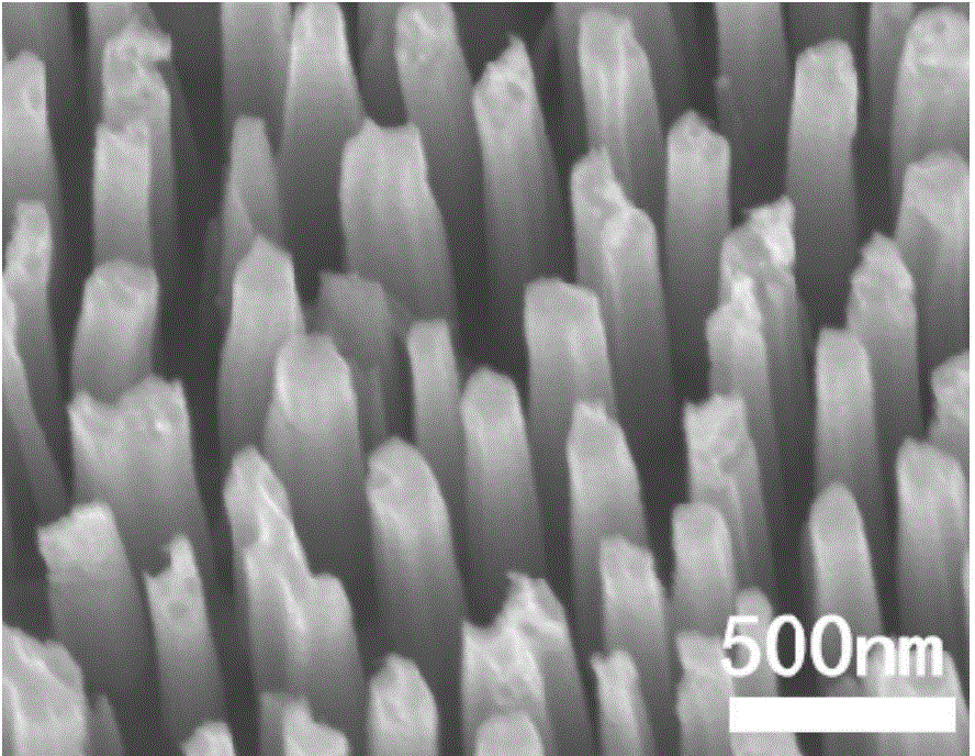 Preparation method of conductive organic matter/silicon nanowire solar cell and product thereof