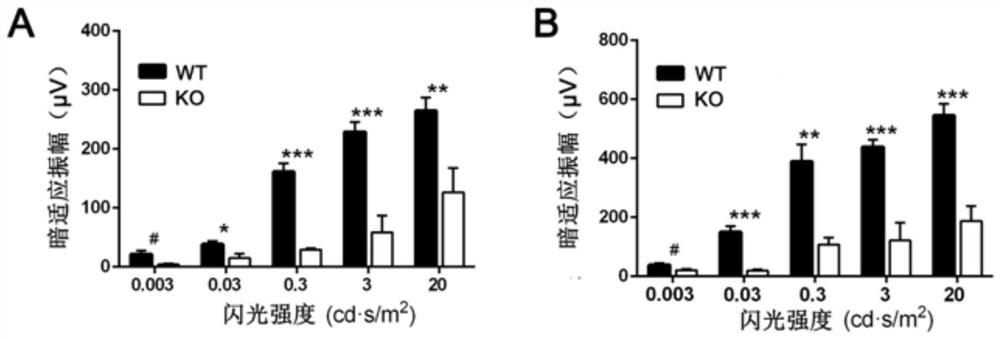 Method, application and breeding method for constructing retinitis pigmentosa disease model