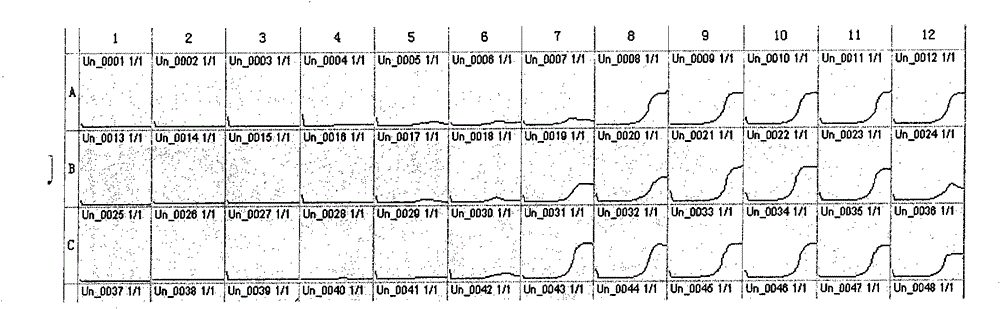 Method for rapidly determining drug tolerance of strain