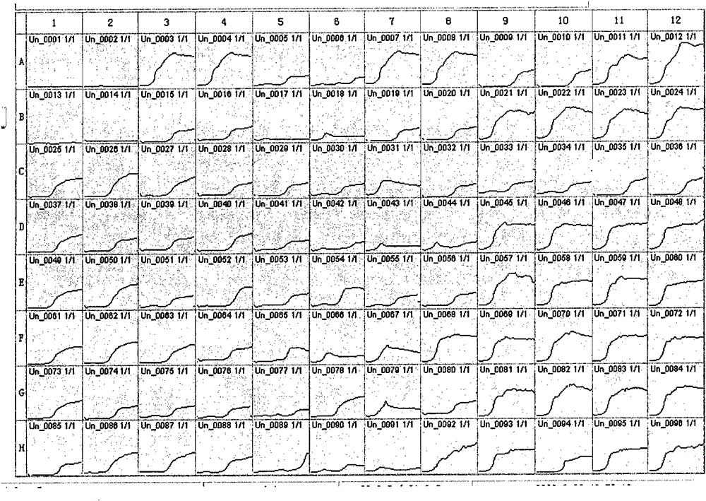 Method for rapidly determining drug tolerance of strain