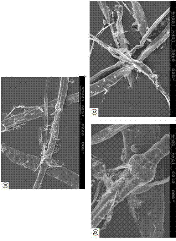 Regenerated cellulose fiber and preparation method thereof